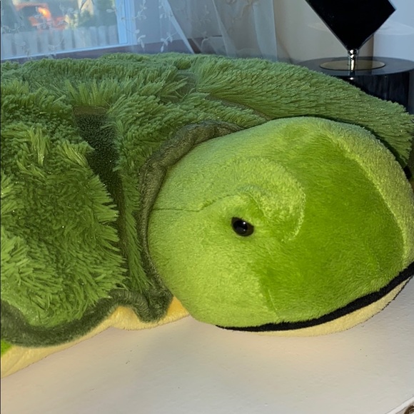 Toys | Turtle Pillow Pet | Poshmark
